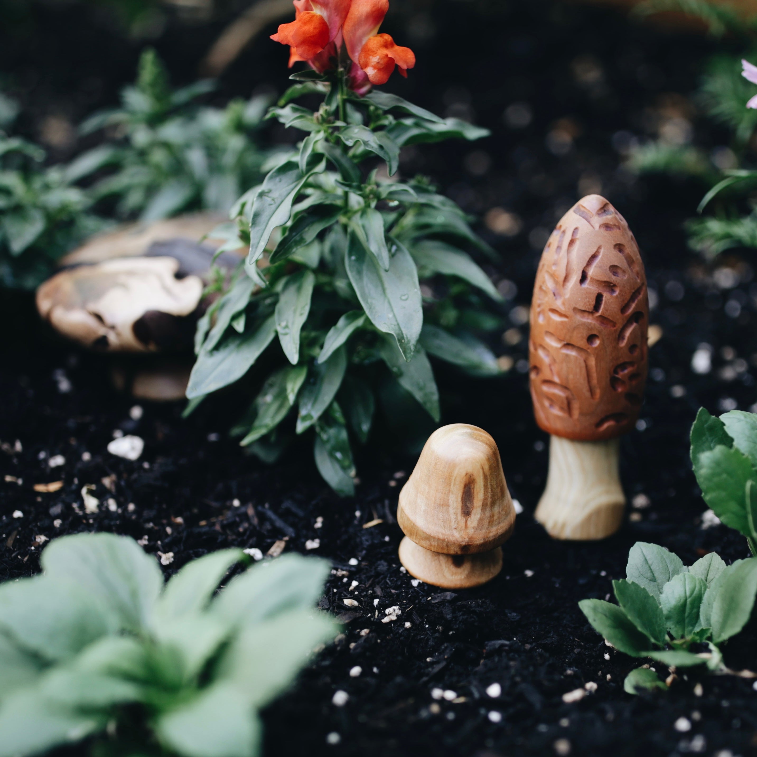 Wood Carved Treasures | mushrooms & spin tops