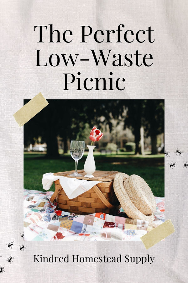 A Perfect Low-Waste Picnic