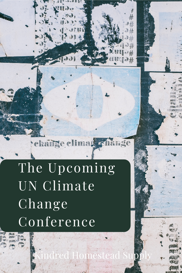 The Upcoming UN Climate Change Conference