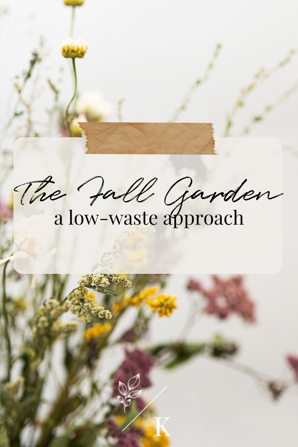 Preparing Your Fall Garden: A Low-Waste Approach