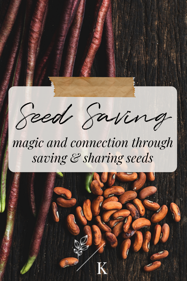 Fall Seed Saving: Embracing the Magic and Connection of the Season
