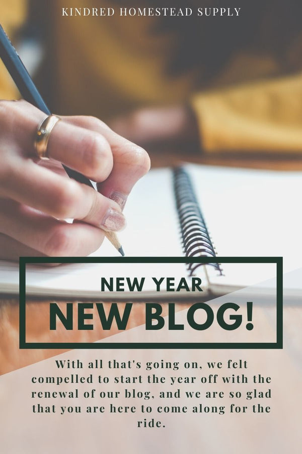 New Year, New Blog!