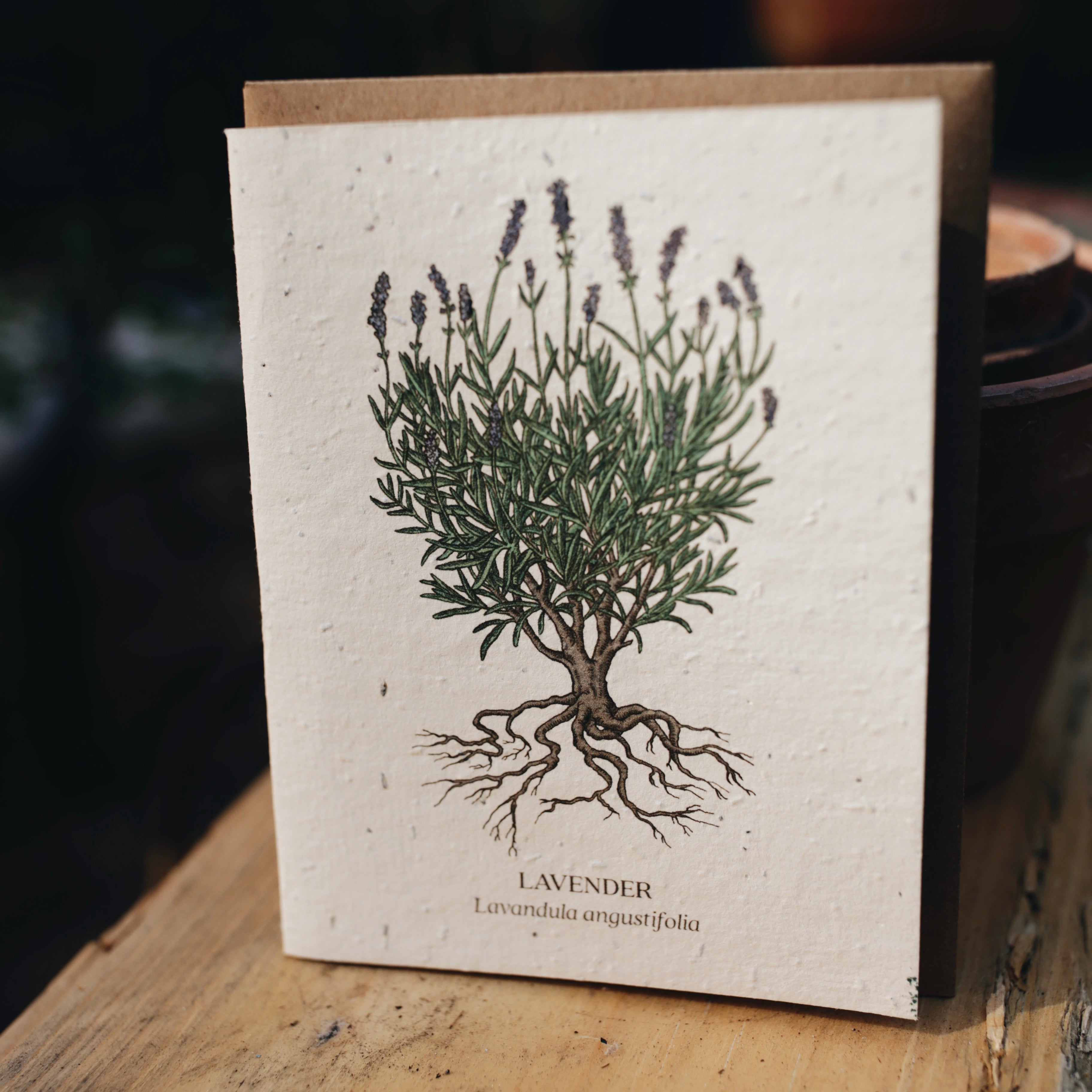 Plantable Seed Greeting Card