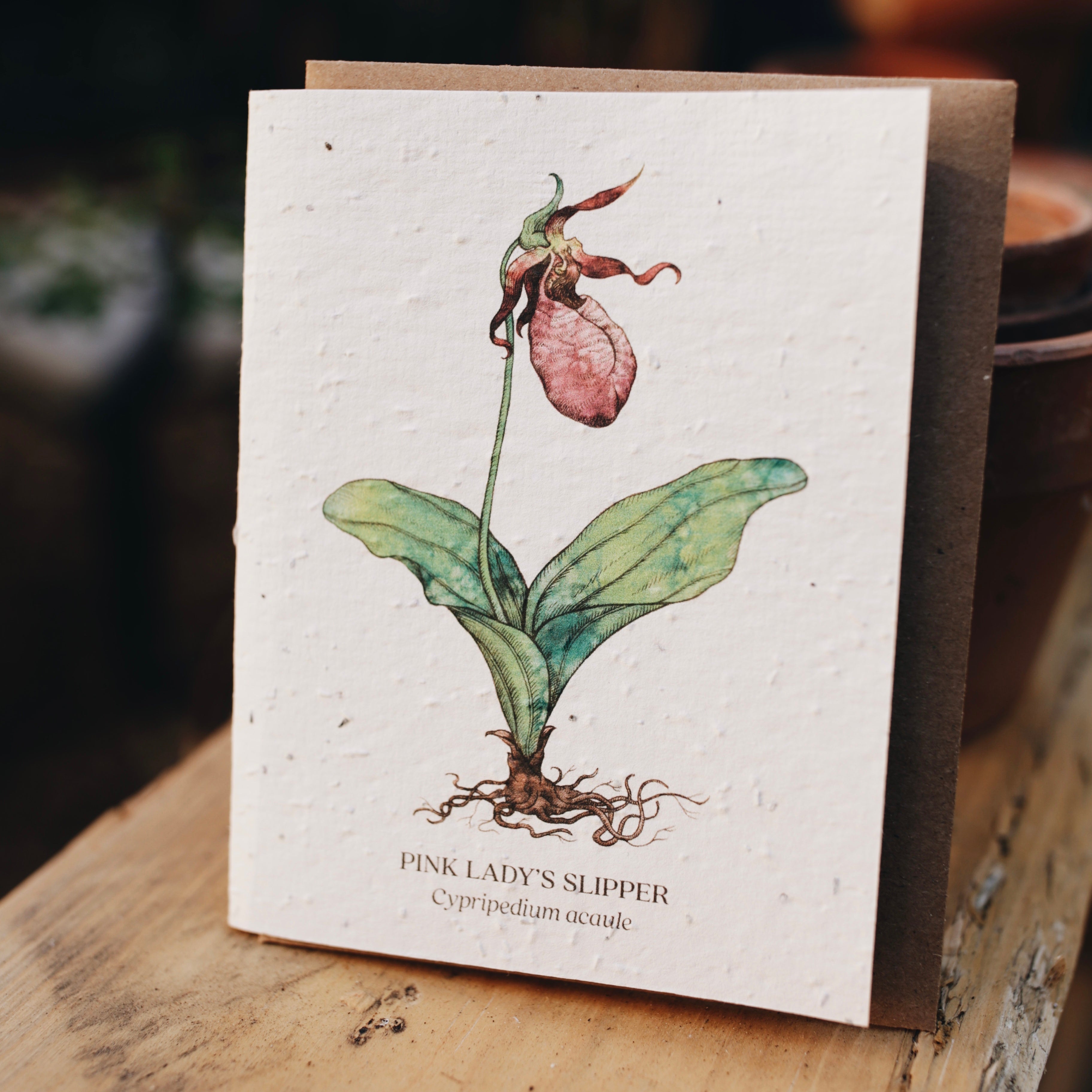 Plantable Seed Greeting Card